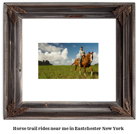 horse trail rides near me in Eastchester, New York